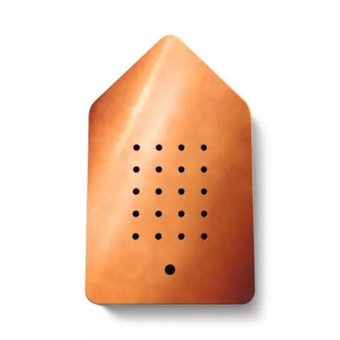Birdybox Pure Copper