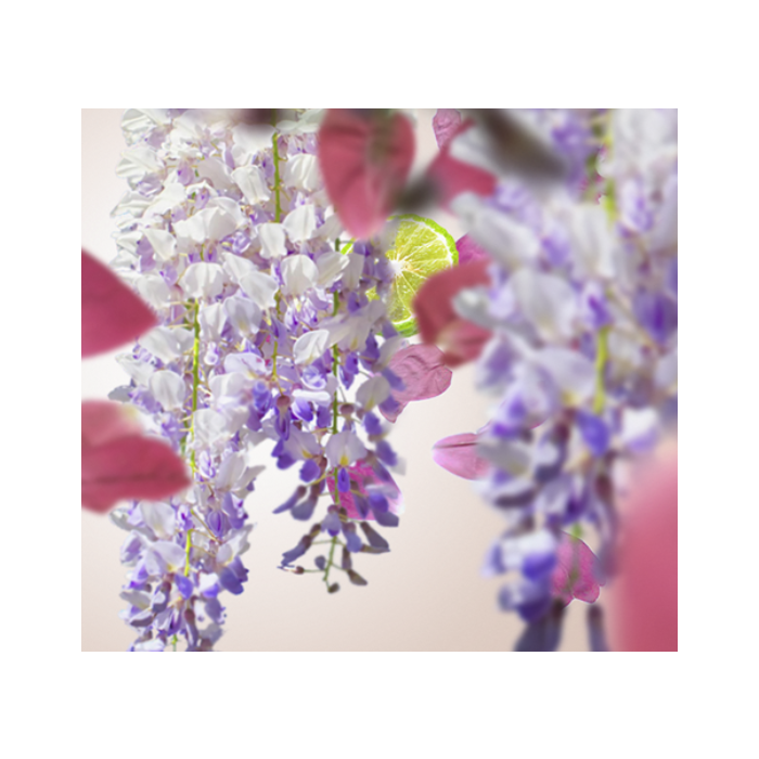 Lampe berger bouquet liberty cheap