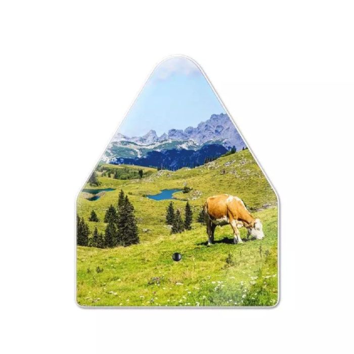 HEIDIBOX ALPINE MEADOW