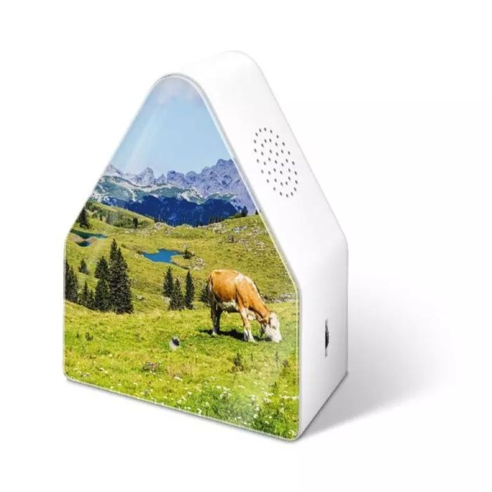 HEIDIBOX ALPINE MEADOW