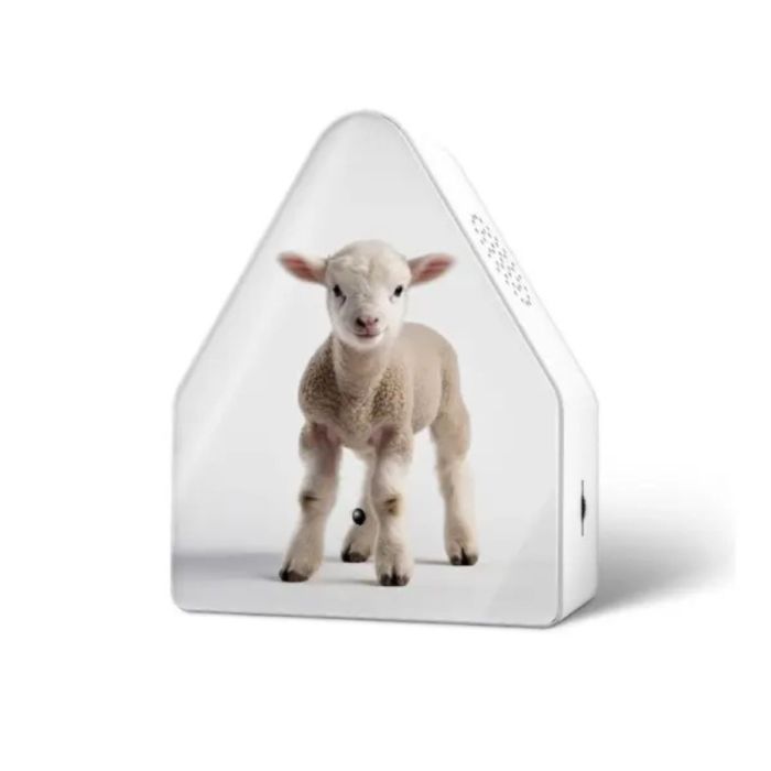 Heidibbox Limited Edition Spring 2025 Baby Sheep
