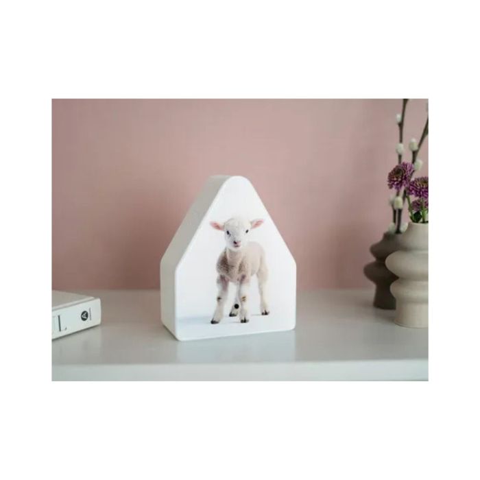 Heidibbox Limited Edition Spring 2025 Baby Sheep