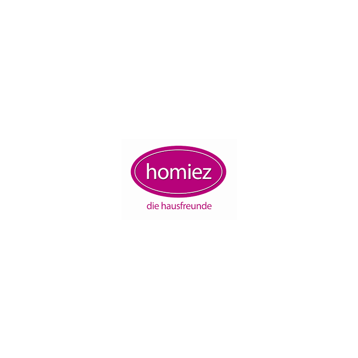 Homiez Latte Machiattolepel 6 stuks