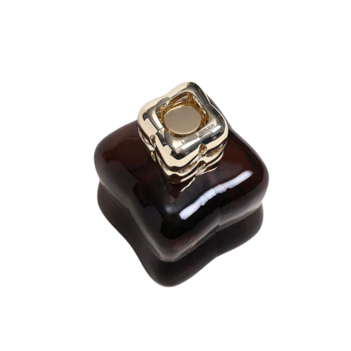 Lampe Berger COSY PRUNE