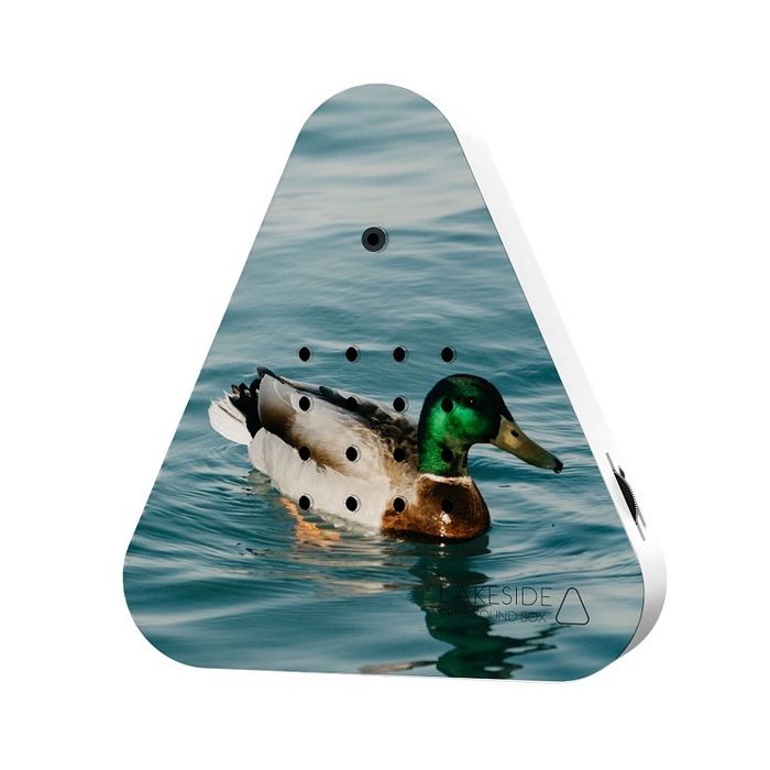 Lakesidebox Limited Edition Wild Duck 