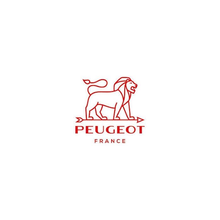 Peugeot Paris Lagué Rouge Pepermolen U-select 18cm