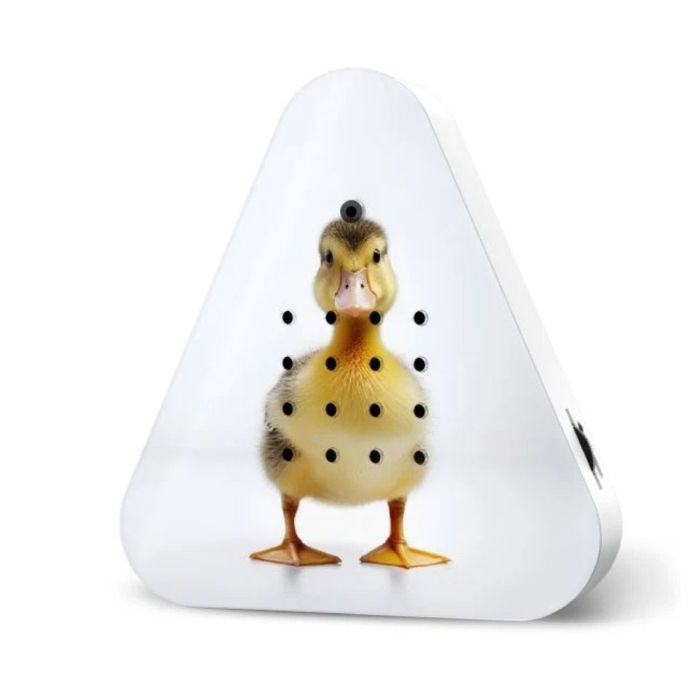 Lakesidebox Limited Edition Spring 2025 Baby Duck