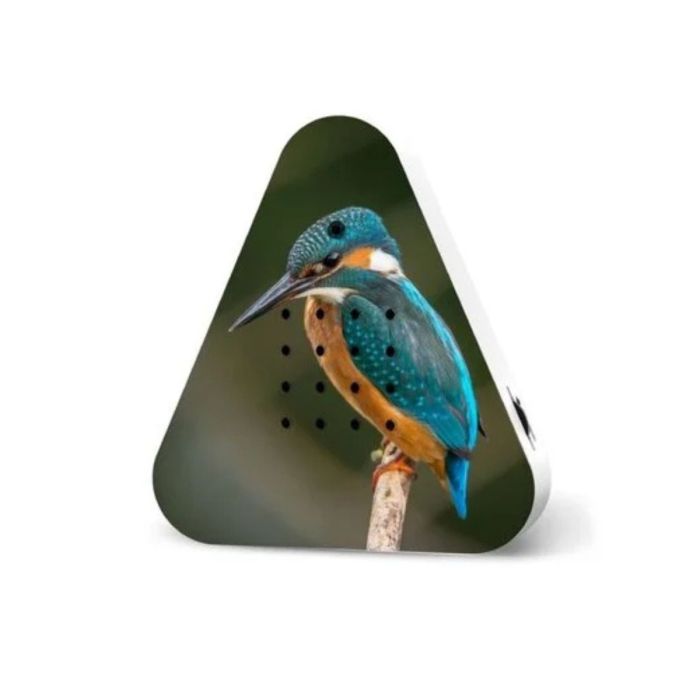 Lakesidebox Limited Edition Spring 2025 Kingfisher