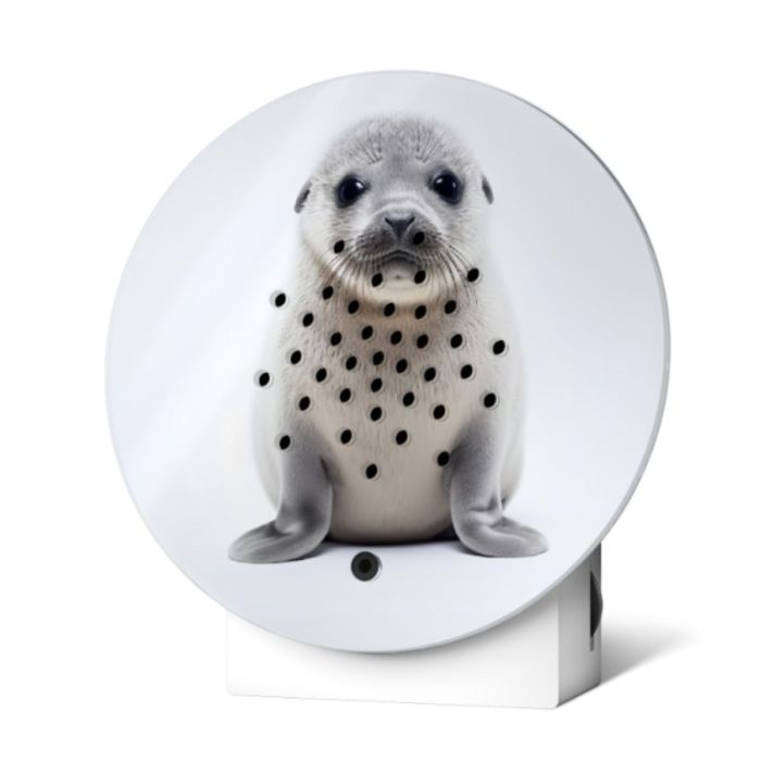 Oceanbox Limtited Edition Spring 2025 BABY SEAL
