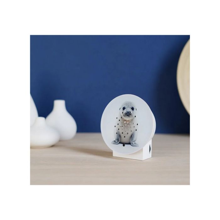 Oceanbox Limtited Edition Spring 2025 BABY SEAL