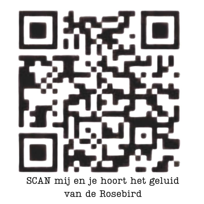 Relaxound Lily Bells Rosebird