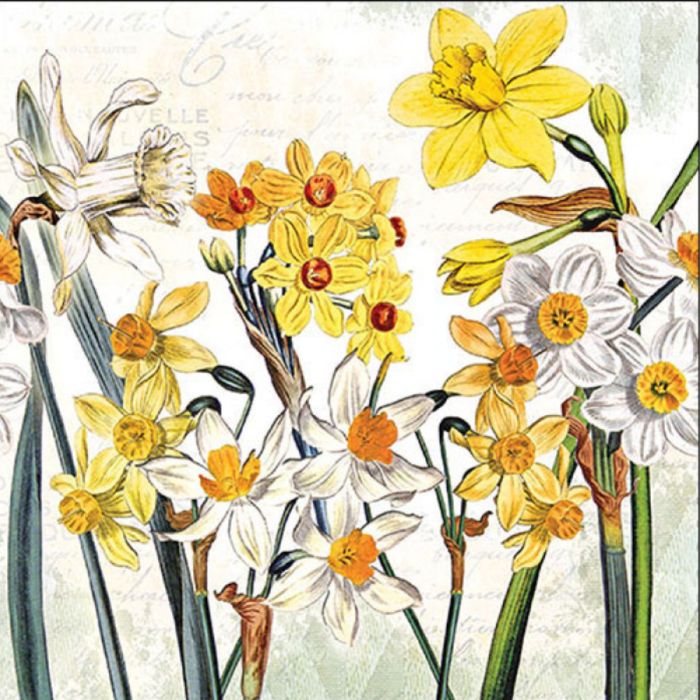 Ambiente Servetten Narcissen