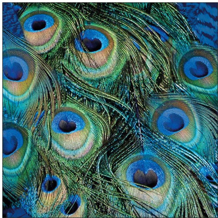 SERVETTEN PEACOCK FEATHERS