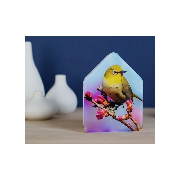 Zwitscherbox Limited Edition Spring 2025 Silvereye