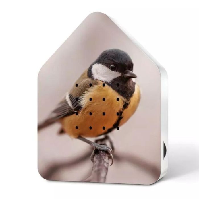 Zwitscherbox Limited Edition GREAT TIT