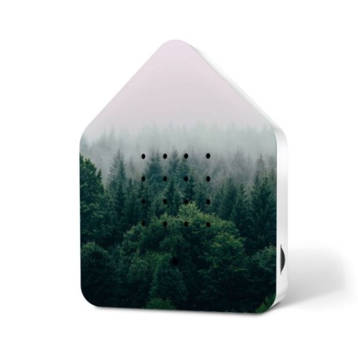 Zwitscherbox Limited Edition Morning Forest