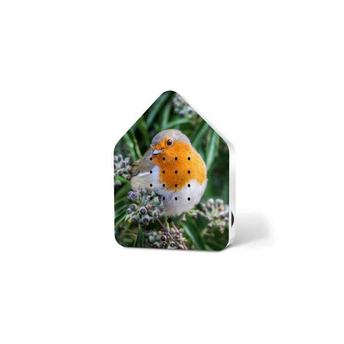 Zwitscherbox Limited Edition Robin Redbreast